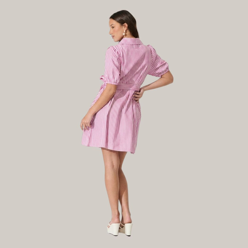 Pink Striped Shirt Dress for Women | Collared Tie-Waist Mini Dress with Puff Sleeves